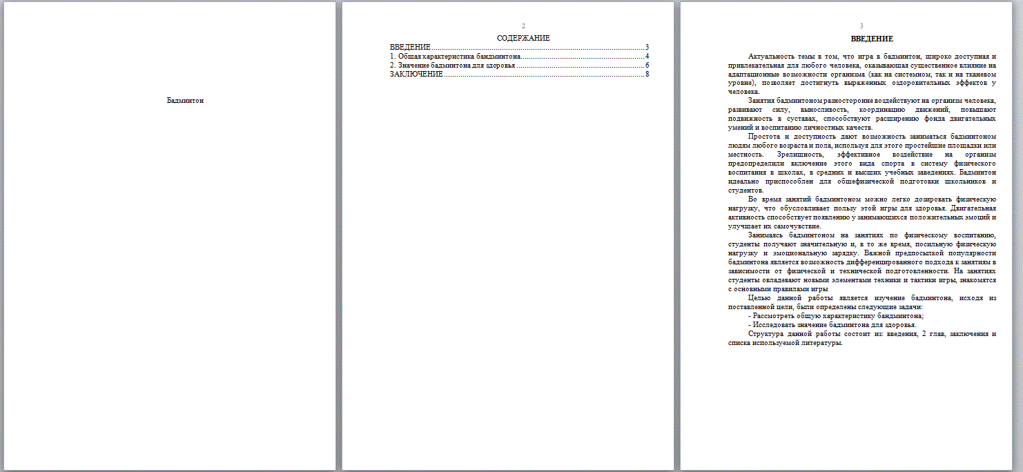 Бадминтон (Реферат) - ТопКурсовик - курсовые, рефераты на заказ, готовые  дипломные работы
